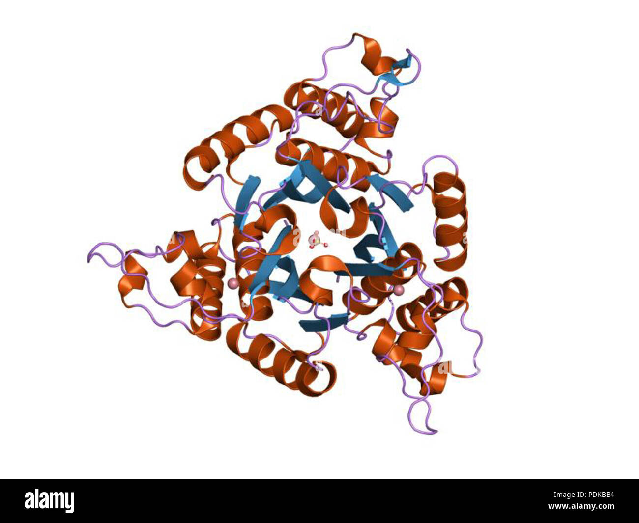 60 HVE 1 Joh 1 EBI Stockfoto