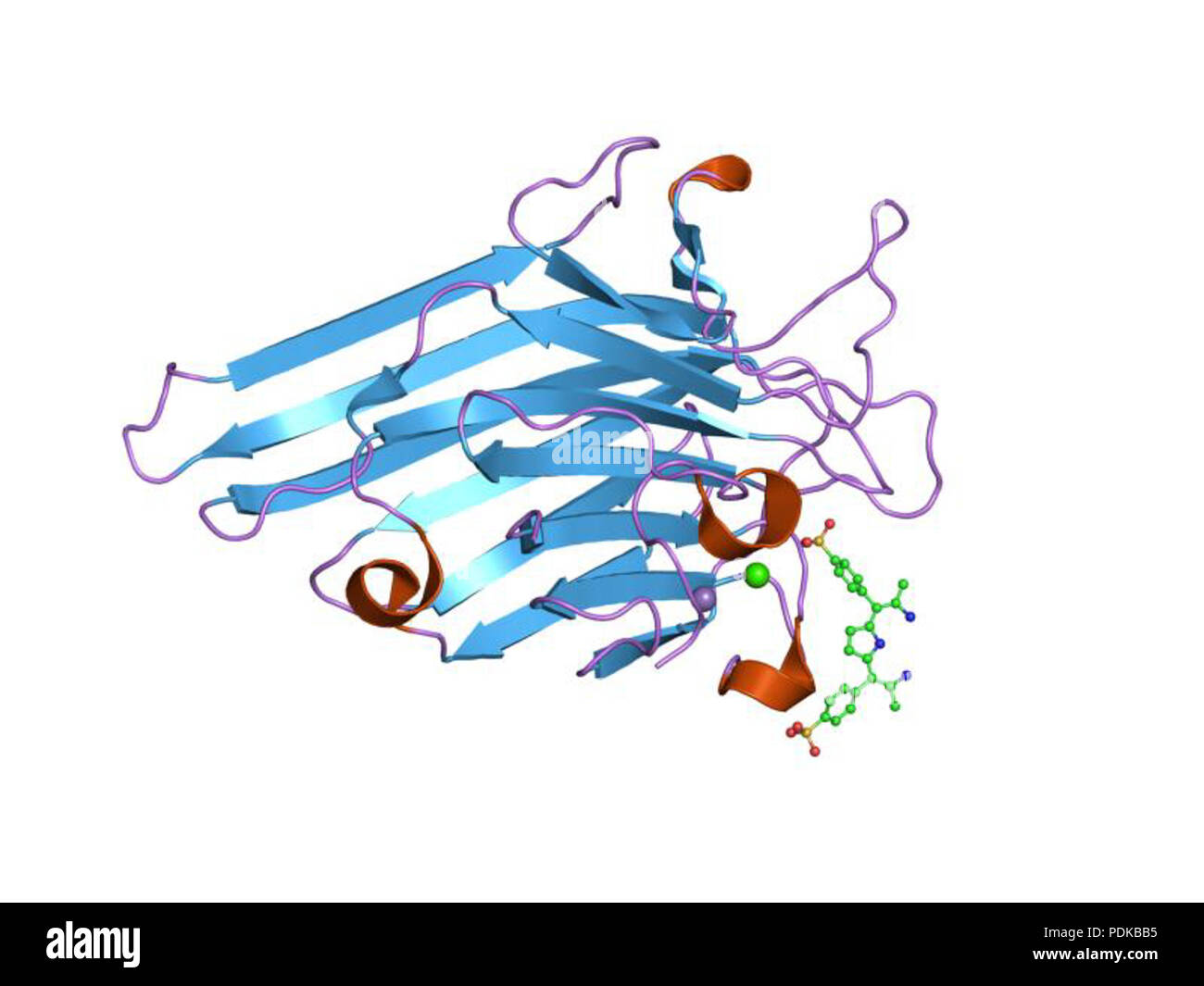 60 HVE 1 Joh 2 EBI Stockfoto