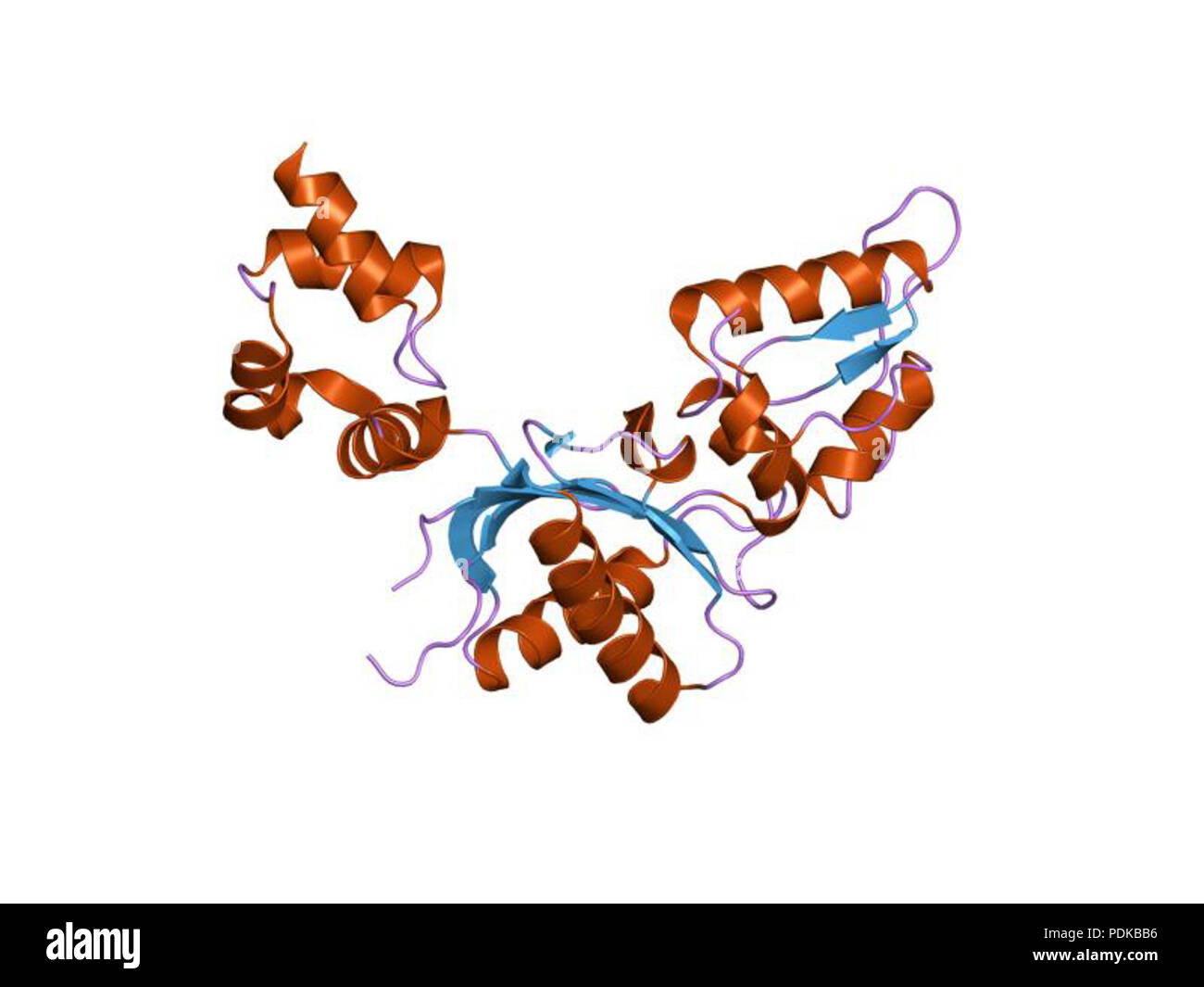 60 HVE 1 Joh 3 EBI Stockfoto