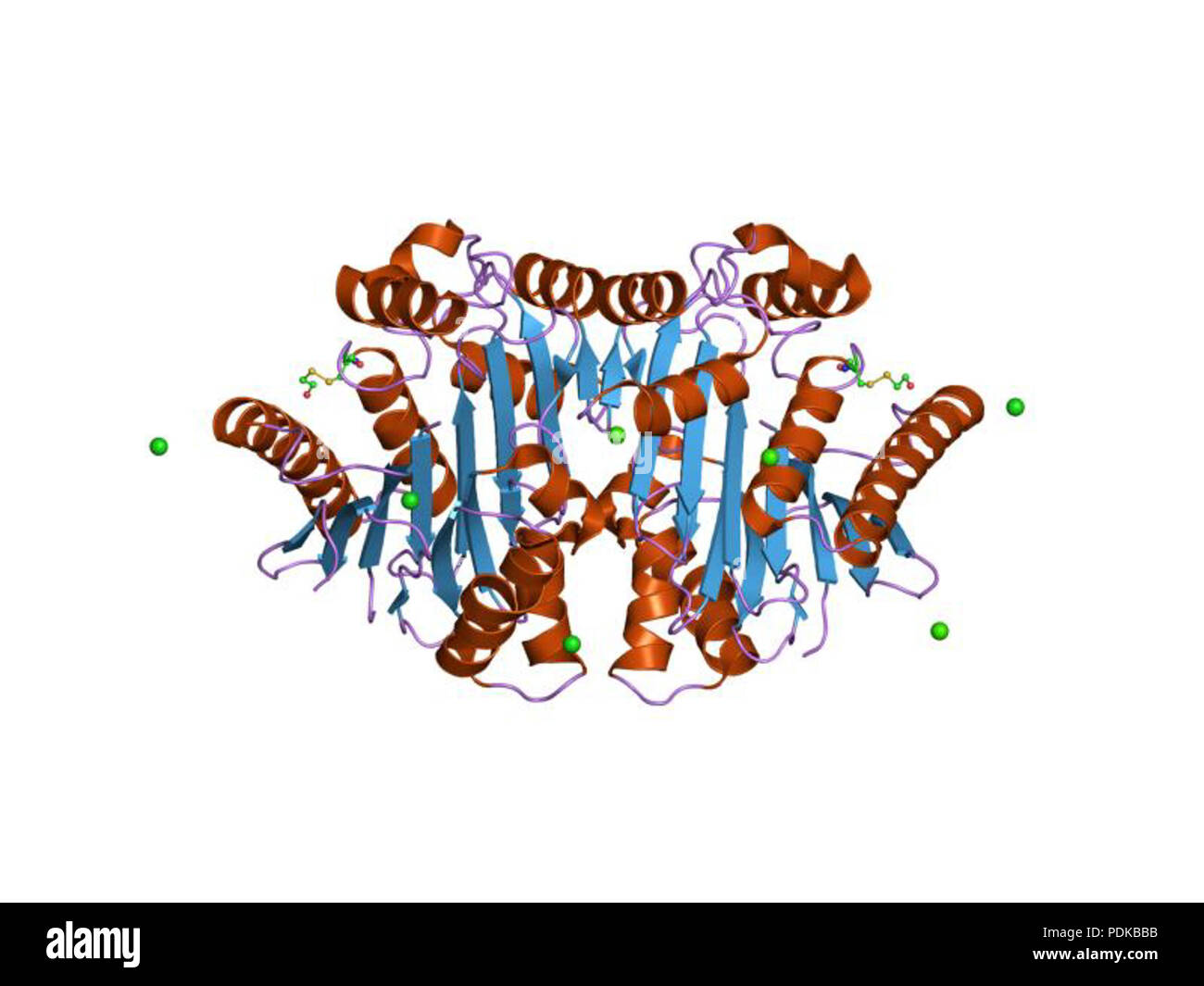 60 HVE 1 Joh 9 EBI Stockfoto