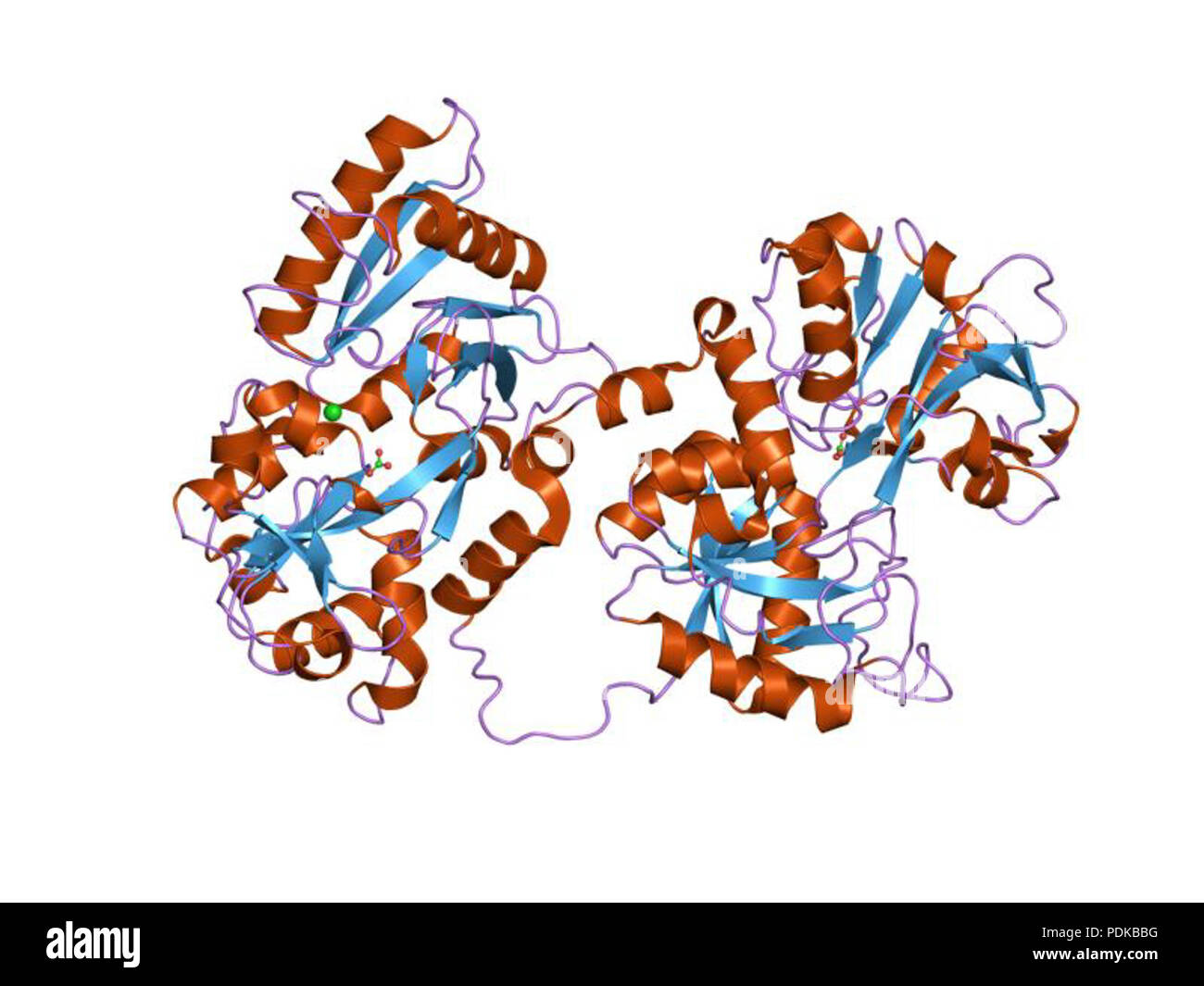 60 HVE 1 jnf EBI Stockfoto