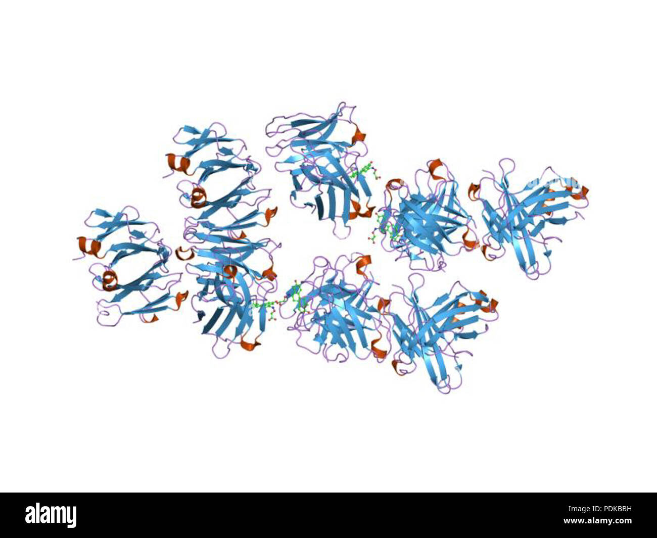 60 HVE 1 jnh EBI Stockfoto