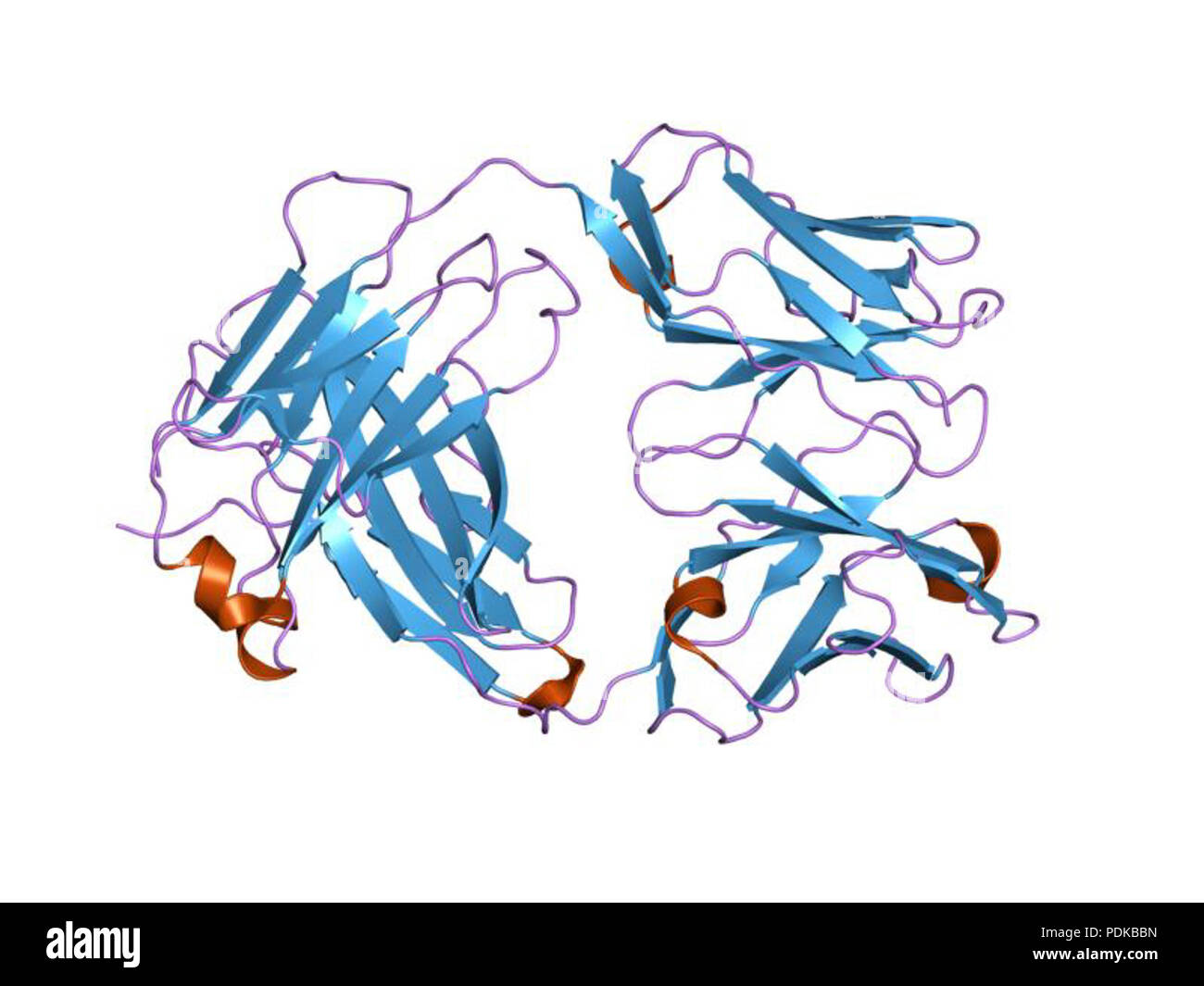 60 HVE 1 jnl EBI Stockfoto