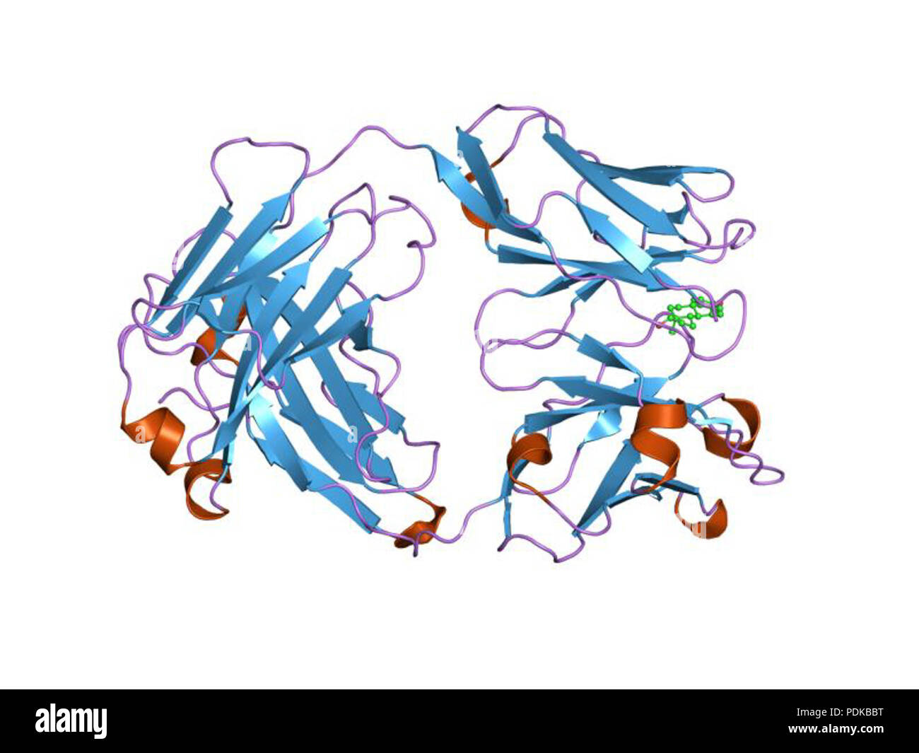 60 HVE 1 jnn EBI Stockfoto