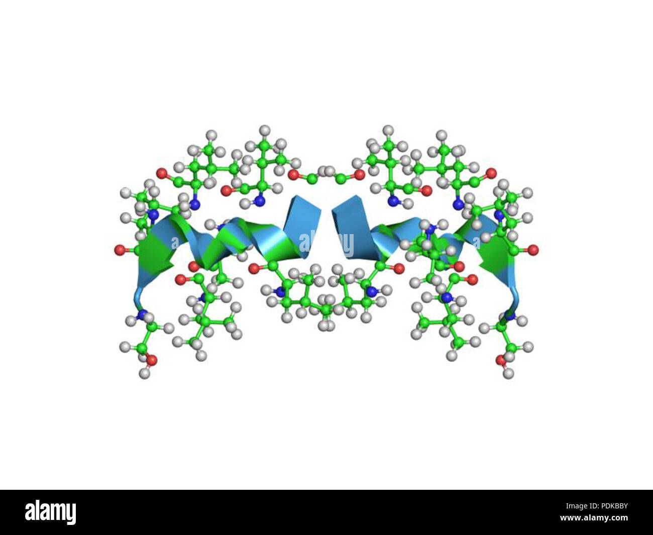 60 HVE 1 jno EBI Stockfoto