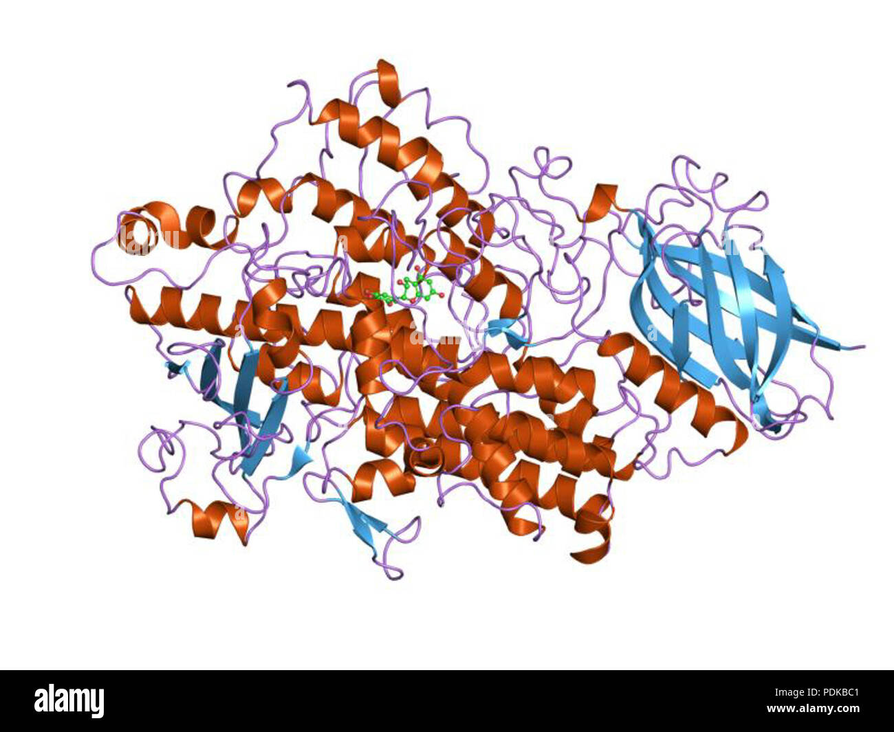 60 HVE 1 jnq EBI Stockfoto