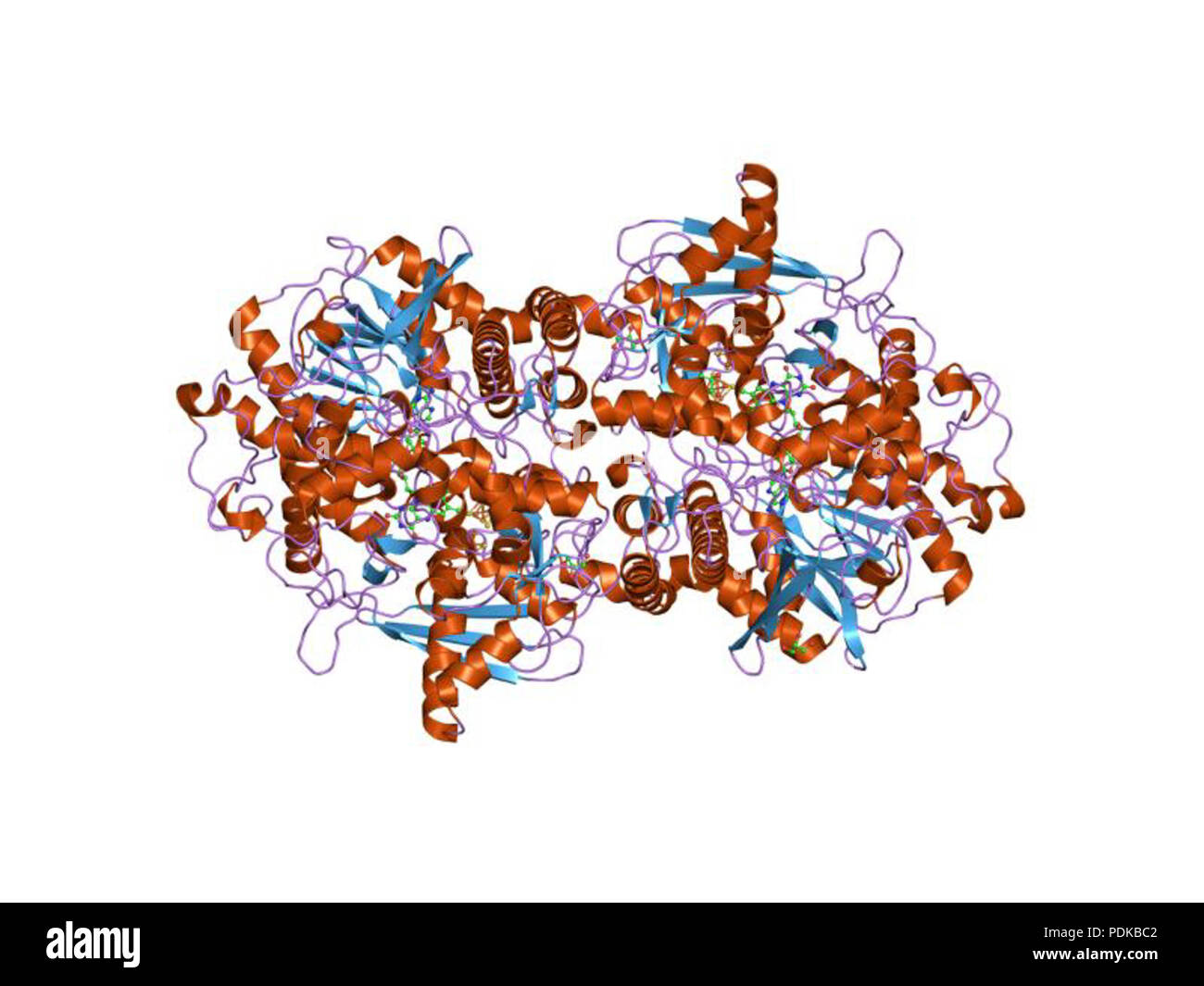 60 HVE 1 jnr EBI Stockfoto