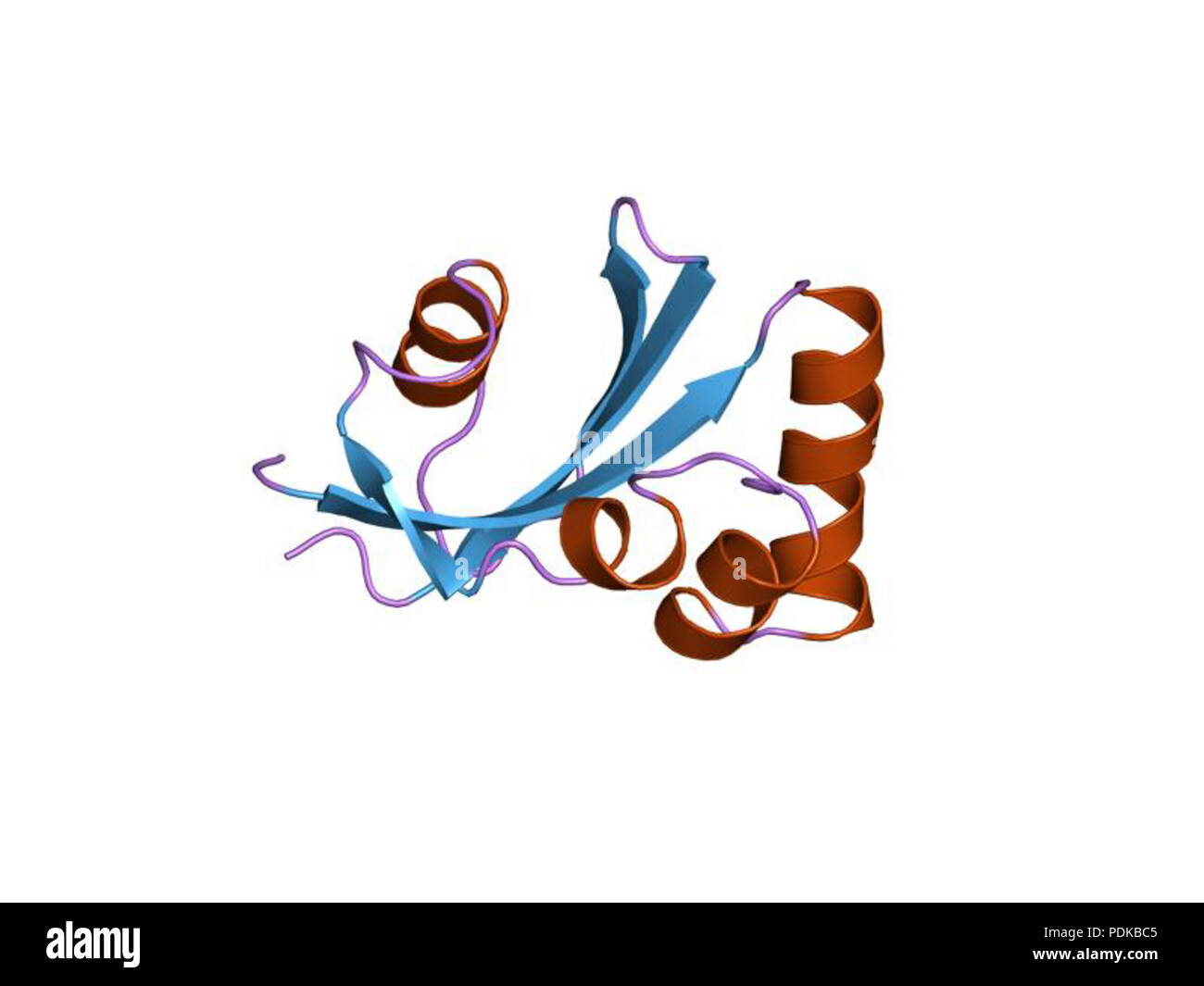 60 HVE 1 jnt EBI Stockfoto