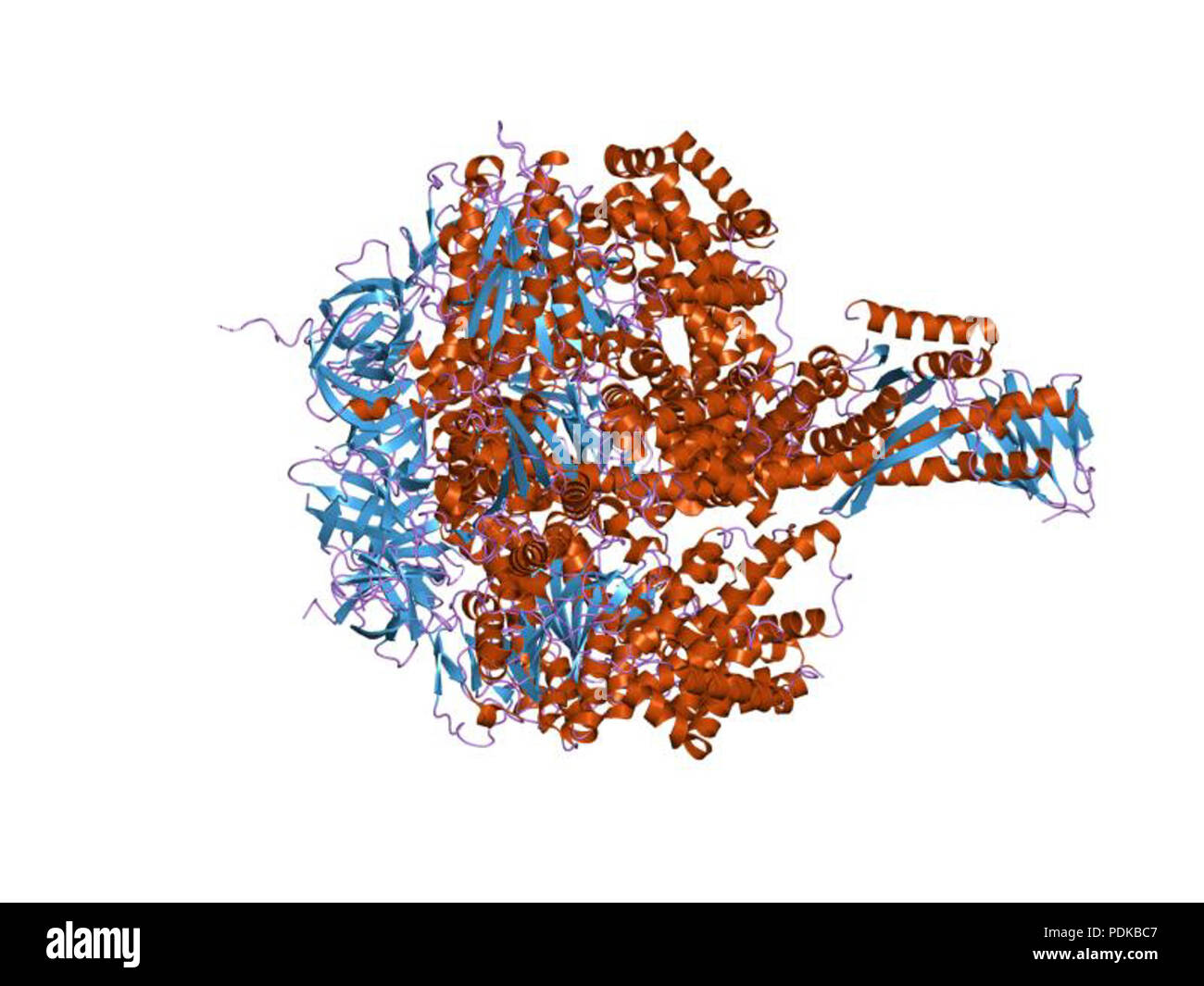 60 HVE 1 jnv EBI Stockfoto