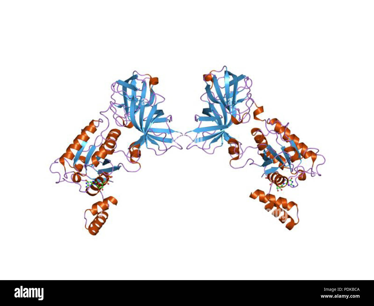 60 HVE 1 jny EBI Stockfoto