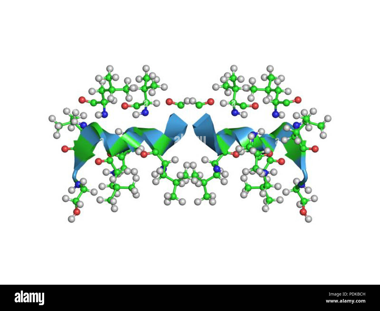 60 HVE 1 Jo 4 EBI Stockfoto