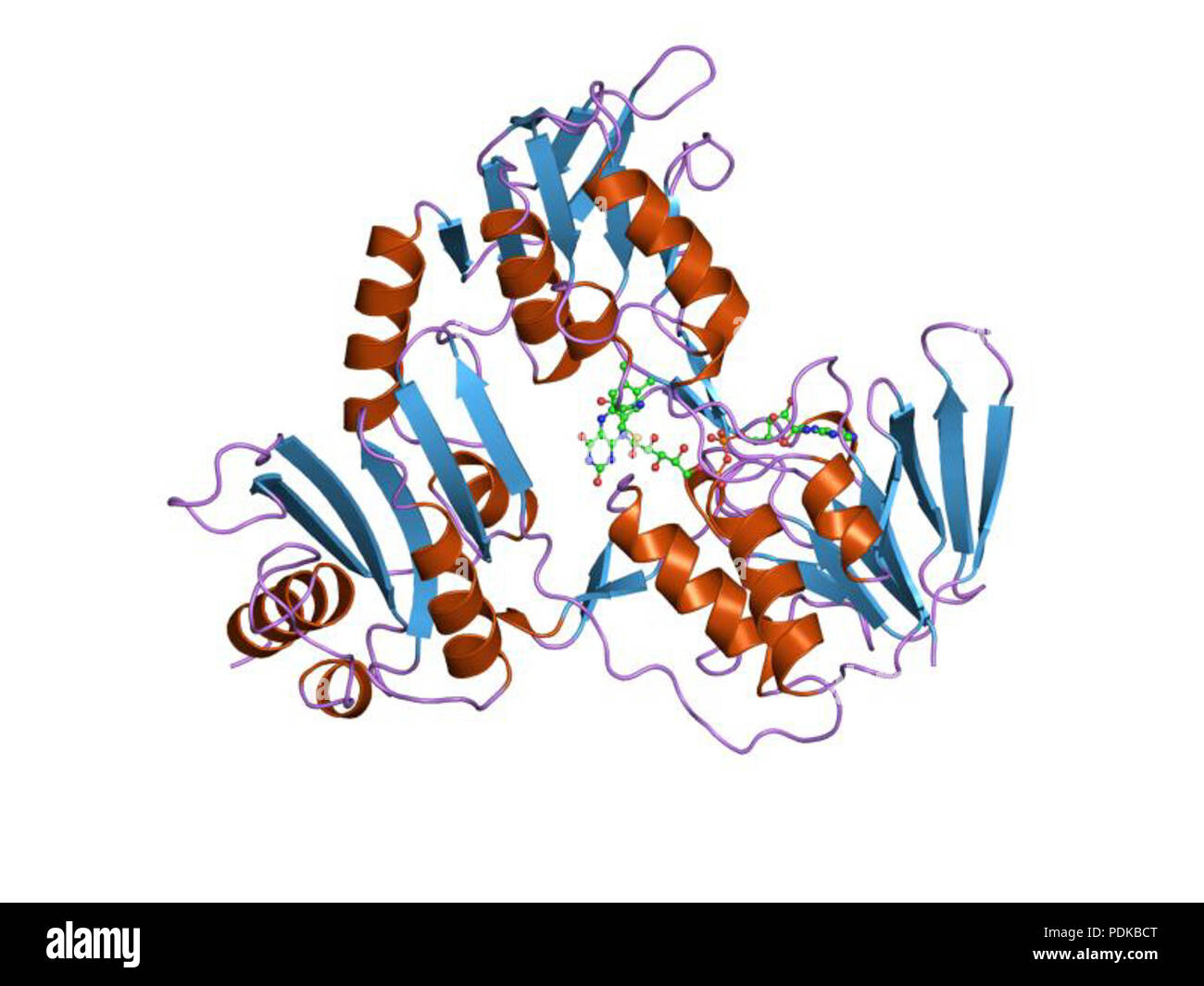 60 HVE 1 joa EBI Stockfoto