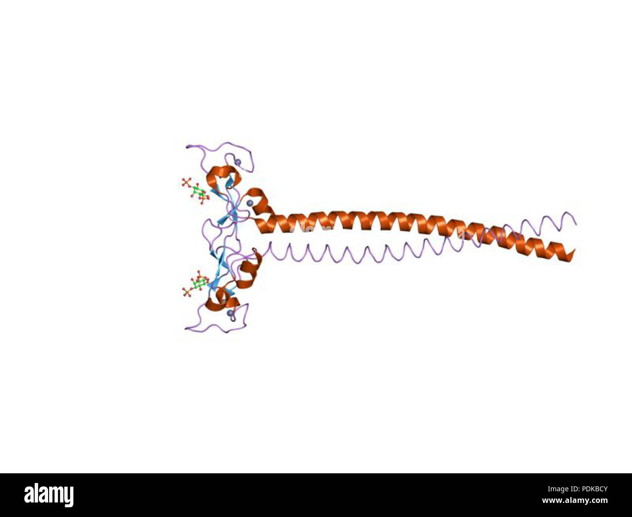 60 HVE 1 joc EBI Stockfoto