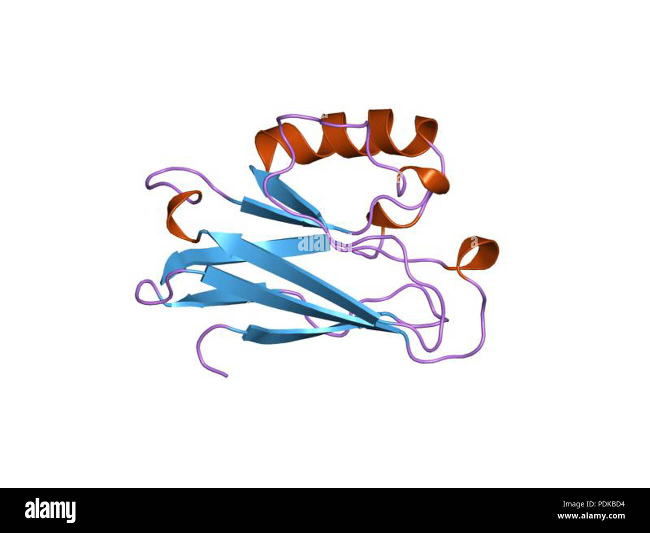 60 HVE 1 joi EBI Stockfoto