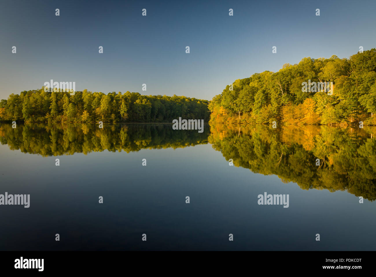 Bäume im Herbst, Reflexionen, See Stockfoto