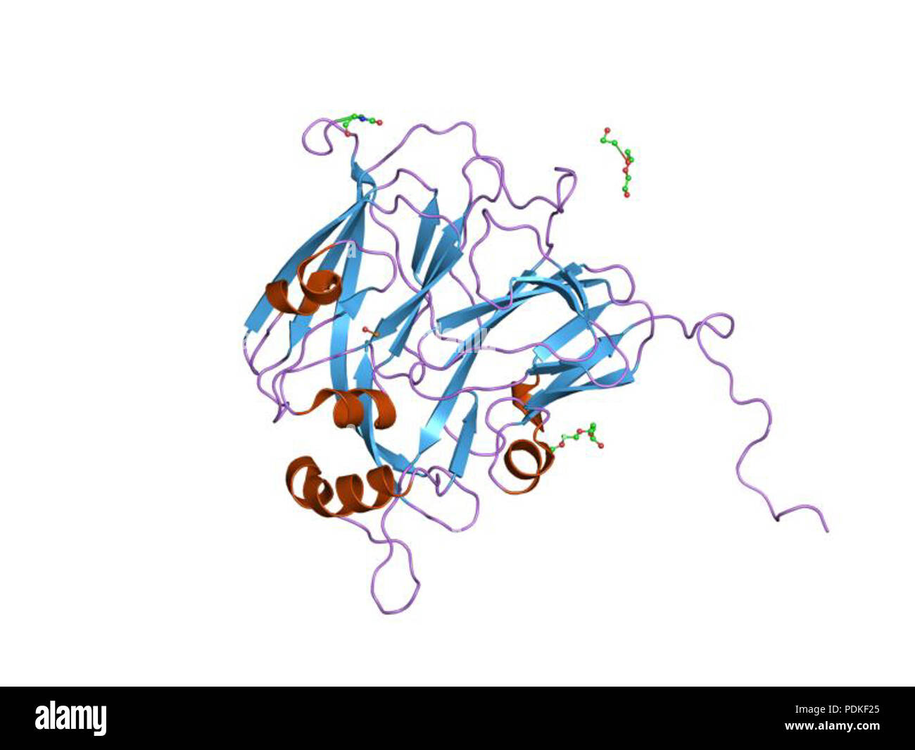 88 HVE 1 oe 3 EBI Stockfoto
