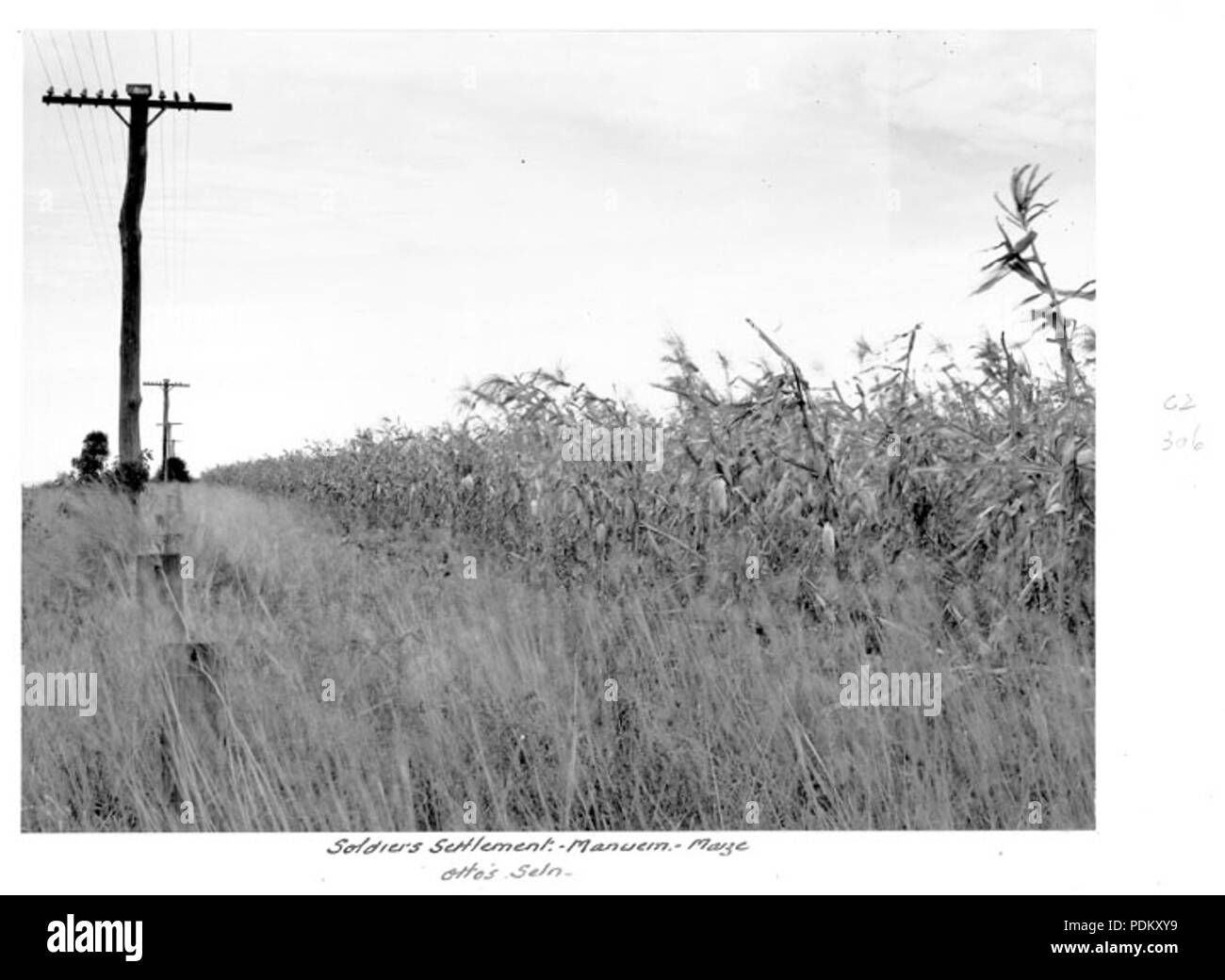116 Queensland State Archive 4504 Mais Manuem Soldaten Siedlung c 1950 Stockfoto