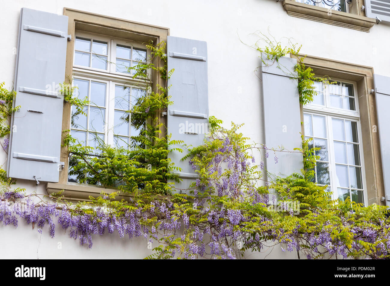 Wohn Hausfassade mit Fenstern und Blumen an der Wand. Altstadt von Bern,  Schweiz Stockfotografie - Alamy