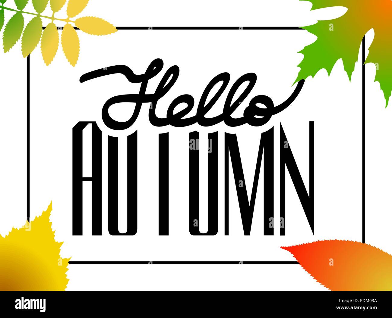 Hallo Herbst! Hand gezeichnet verschiedenfarbige Blätter im Herbst. Skizze, Designelemente. Geschenkkarte Layout. Vector Illustration EPS Stock Vektor
