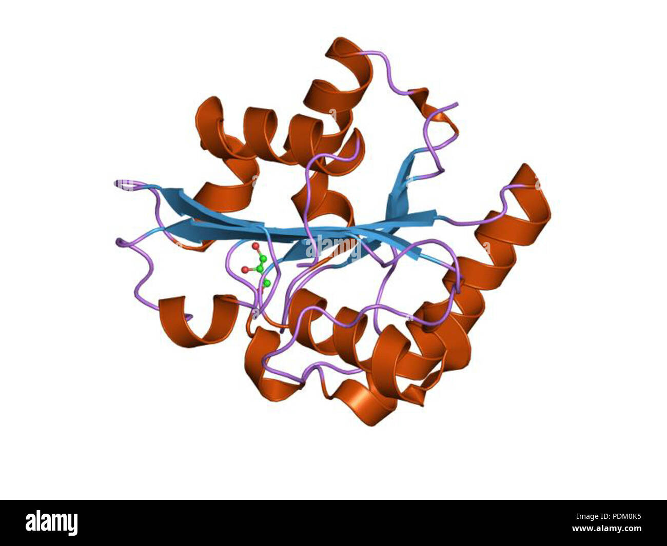 55 HVE 1 isp EBI Stockfoto