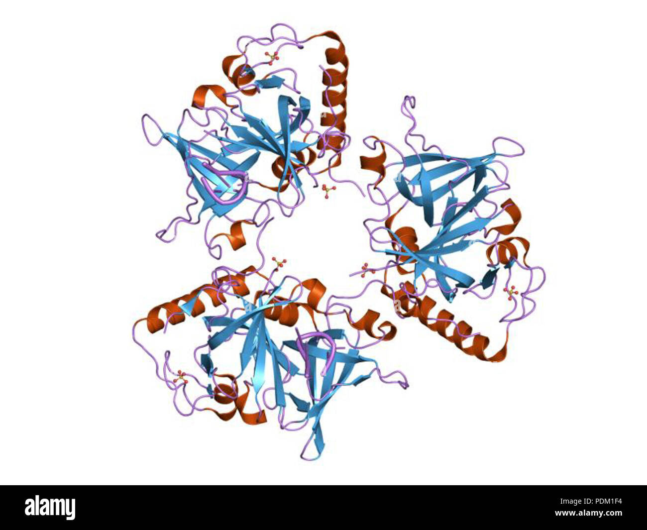 64 HVE 1 k8 g EBI Stockfoto