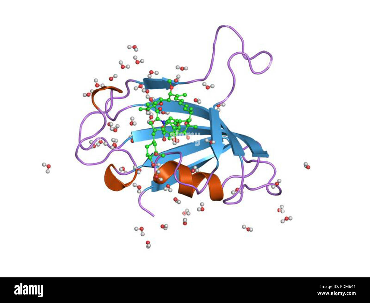 93 HVE 1 pbk EBI Stockfoto