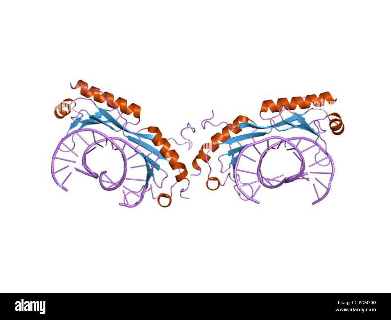 101 HVE 1 qnb EBI Stockfoto