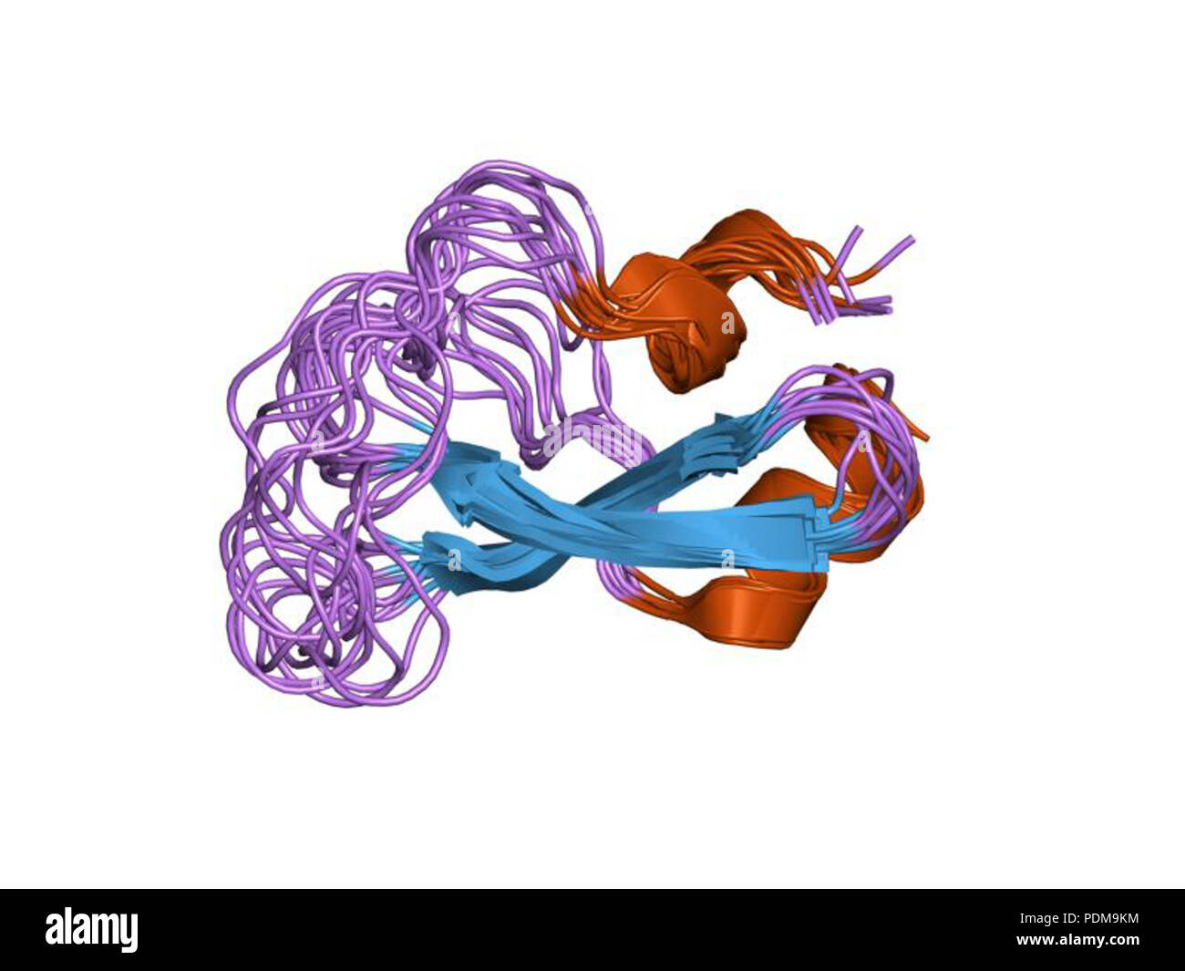 116 HVE 1 TCP-EBI Stockfoto