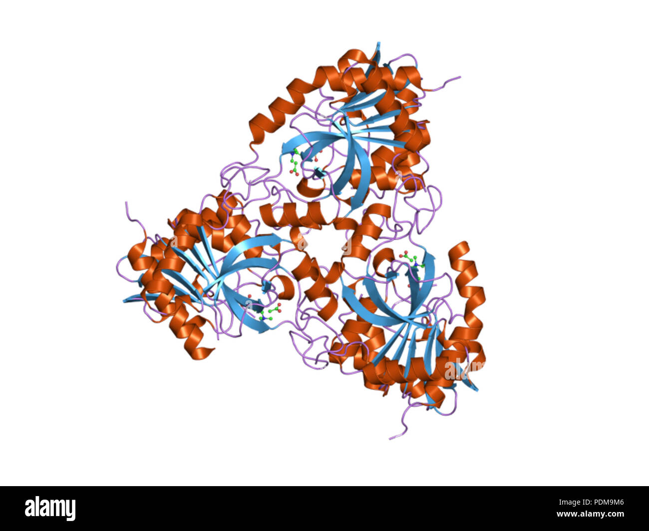 116 HVE 1 tcv EBI Stockfoto