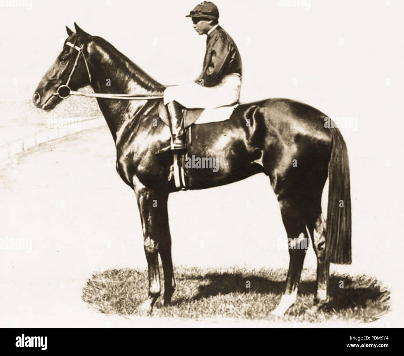 44 Eurythmic (AUS) Stockfoto