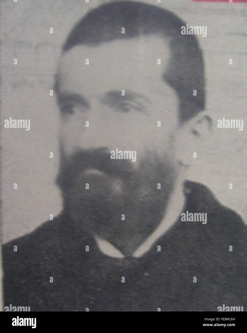 356 Teofil Mushmov Stockfoto