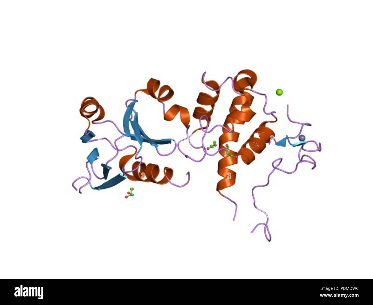98 PDB1q3c EBI Stockfoto
