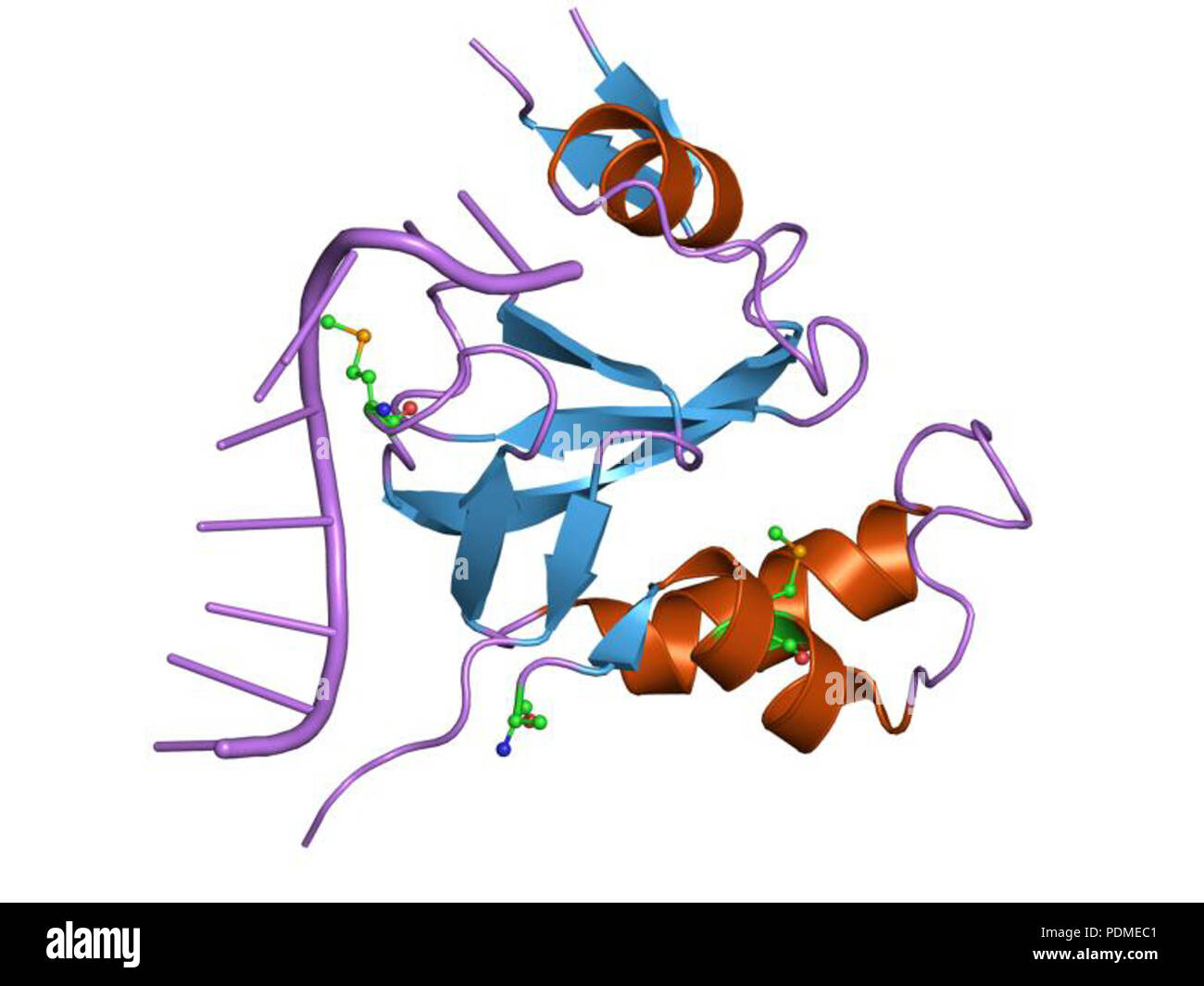 111 HVE 1 SI 3 EBI Stockfoto