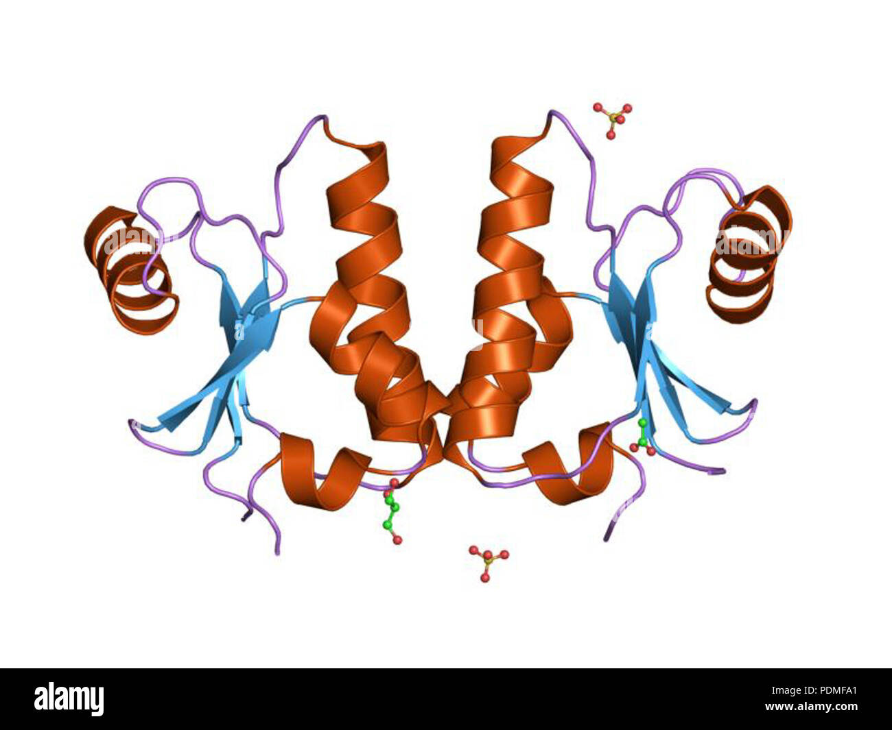 115 HVE 1 t 1 v EBI Stockfoto