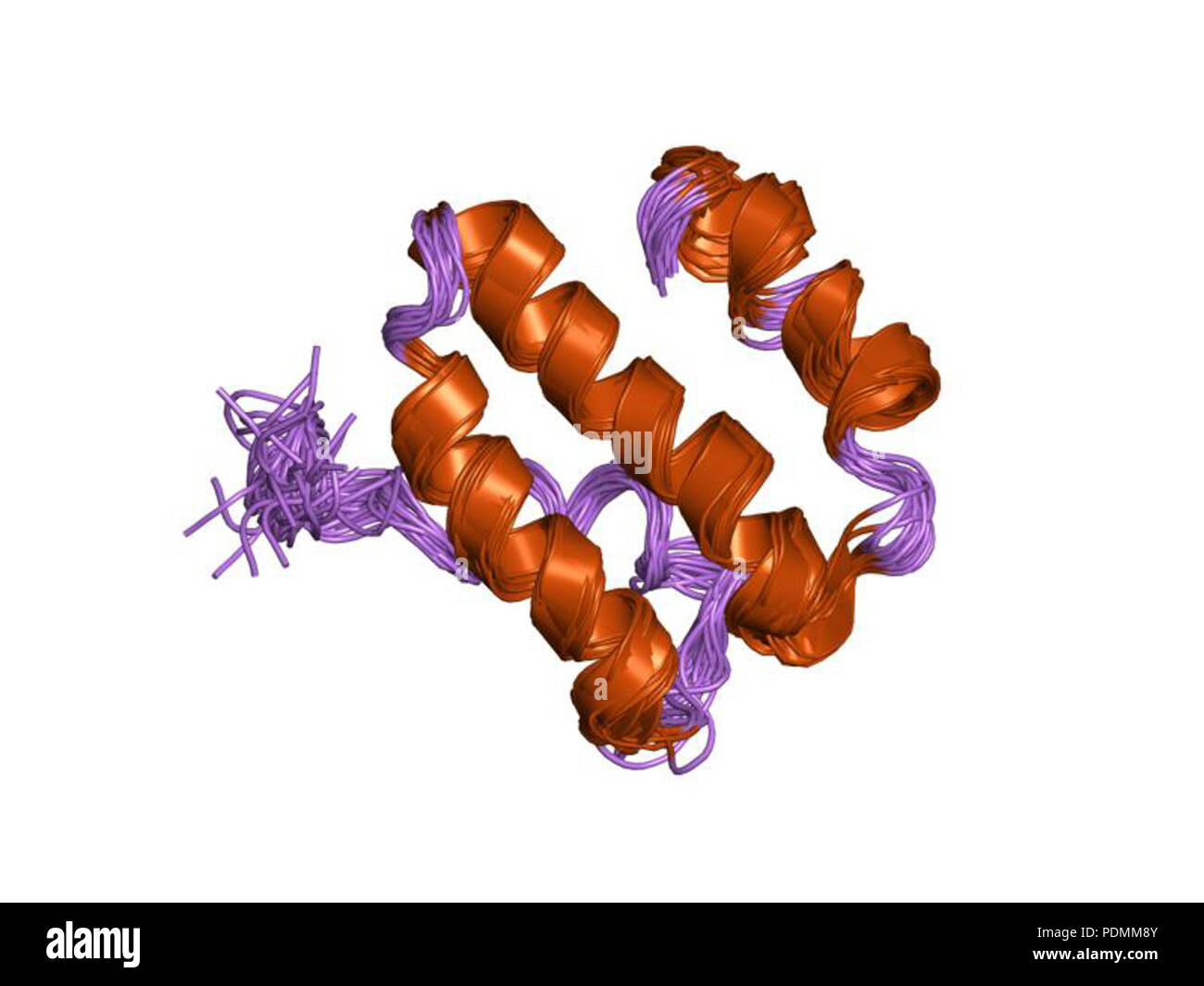 148 HVE 1 ysy EBI Stockfoto