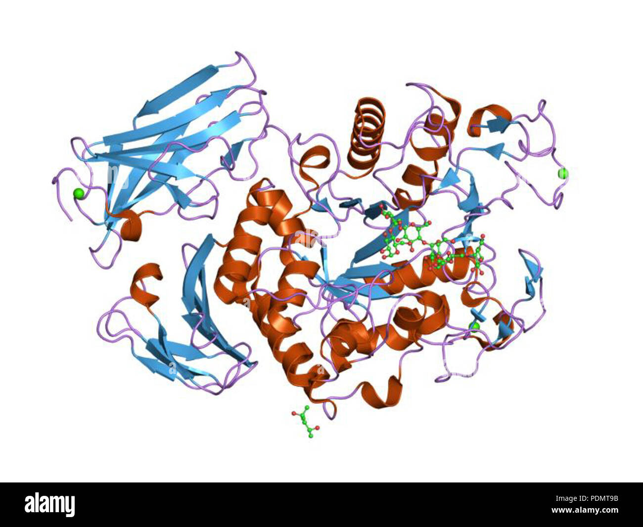 173 HVE 2 d 0 h EBI Stockfoto