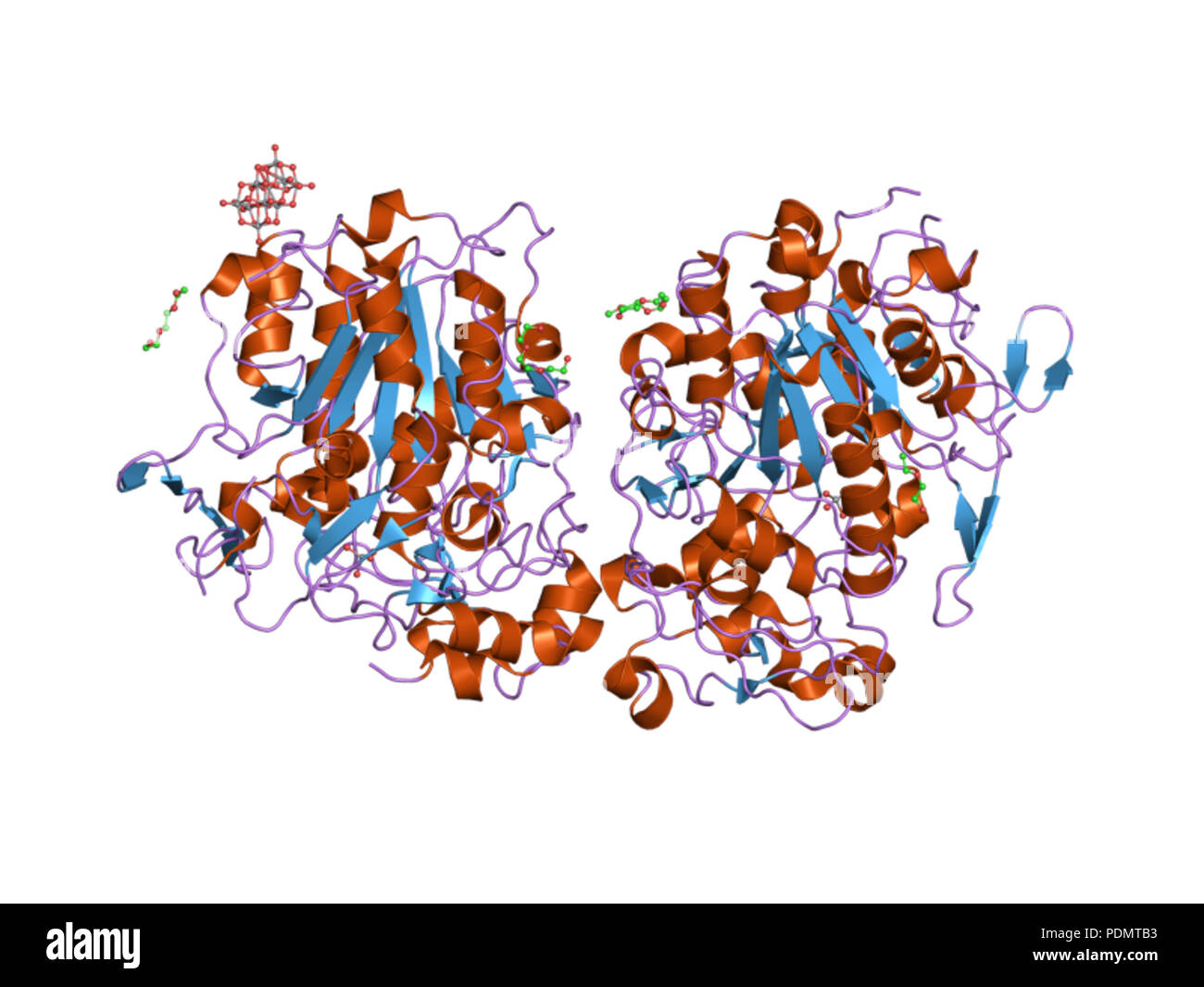 173 HVE 2 d 1 g EBI Stockfoto