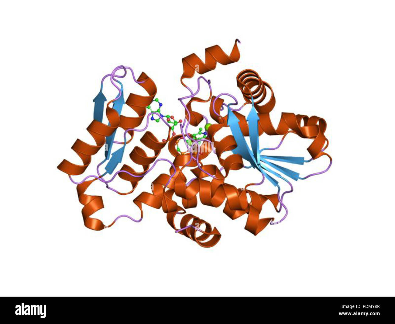 136 HVE 1 wtc EBI Stockfoto