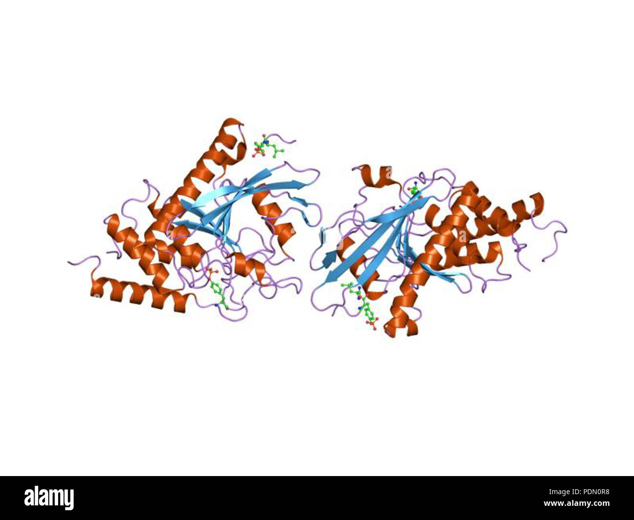 143 HVE 1 xxp EBI Stockfoto