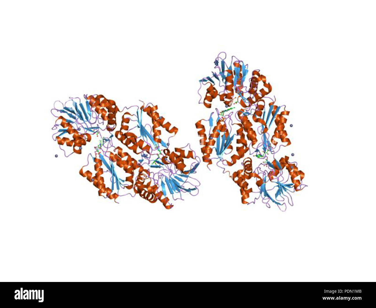 145 HVE 1 ycg EBI Stockfoto