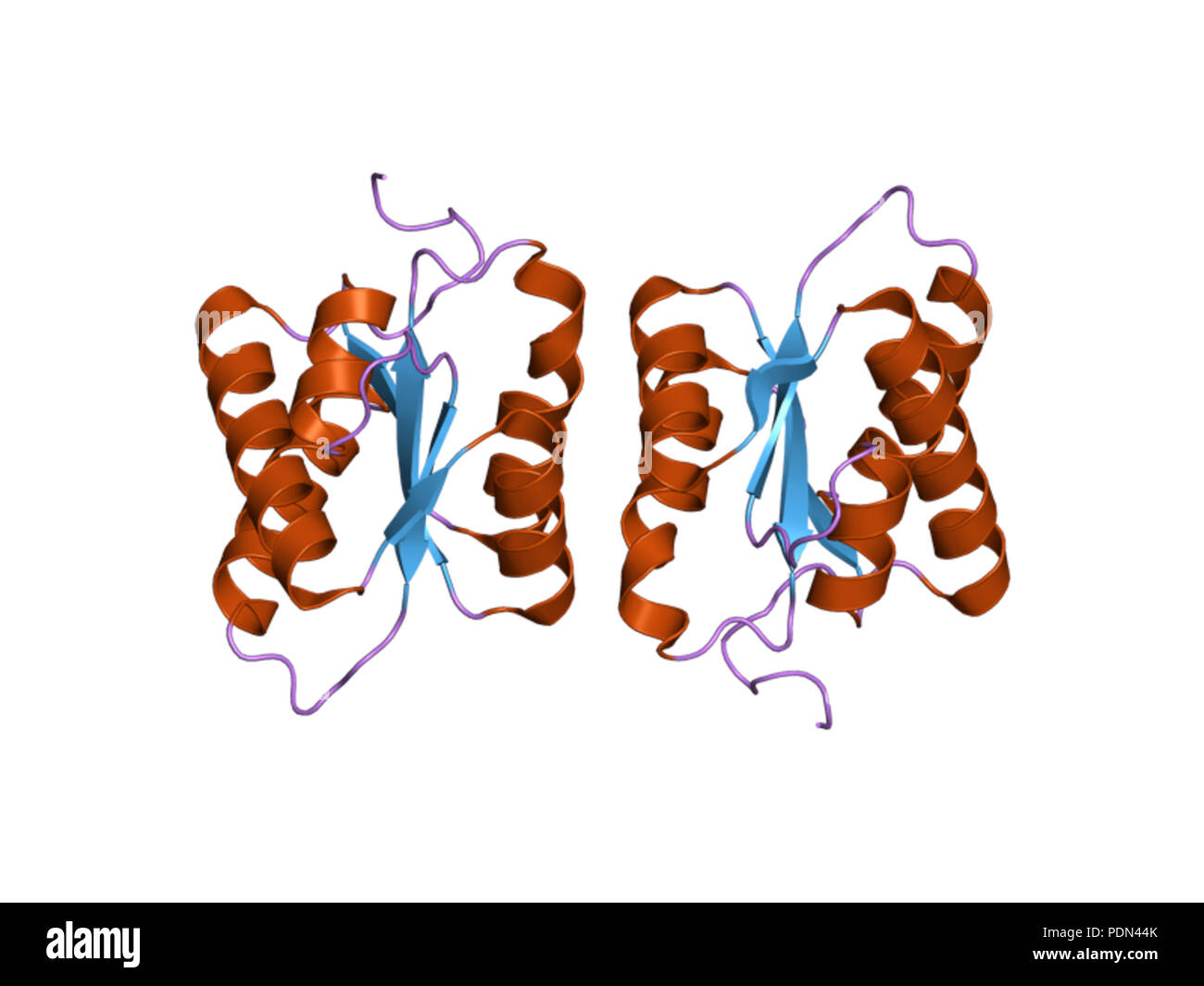 154 HVE 1 zwz EBI Stockfoto