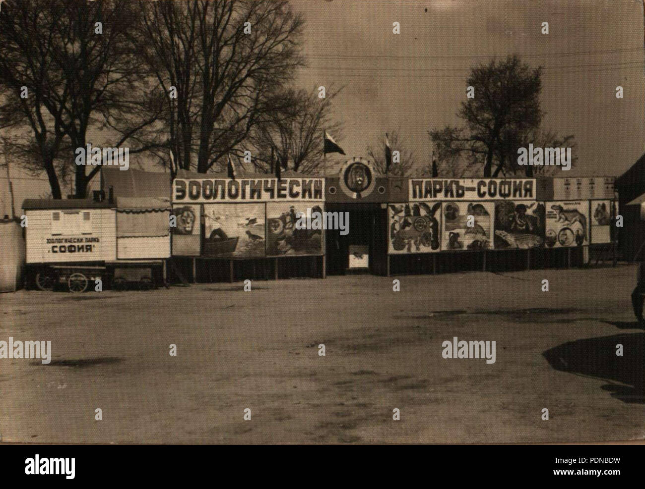 72 BASA-891 K -1-68-1-Sofia Zoo Stockfoto