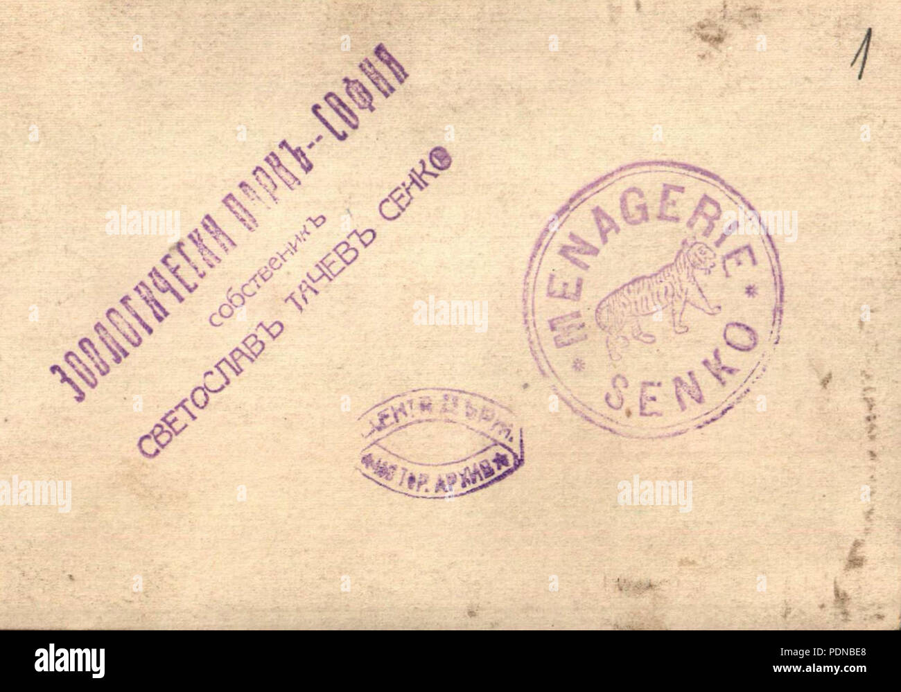 72 BASA-891 K -1-68-1 a-Sofia Zoo Stockfoto