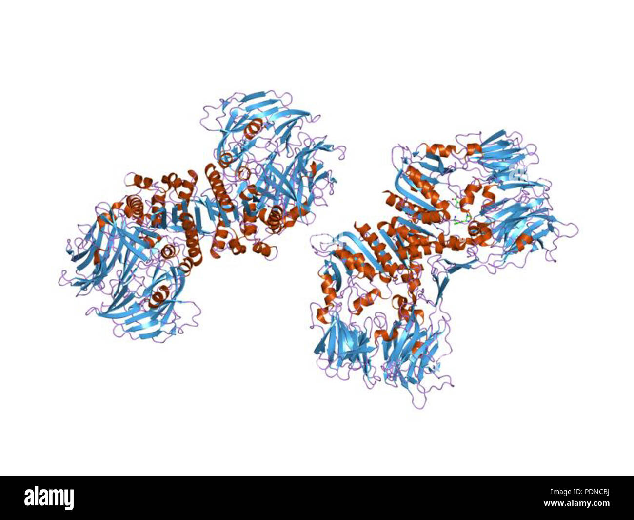 191 HVE 2 g63 EBI Stockfoto