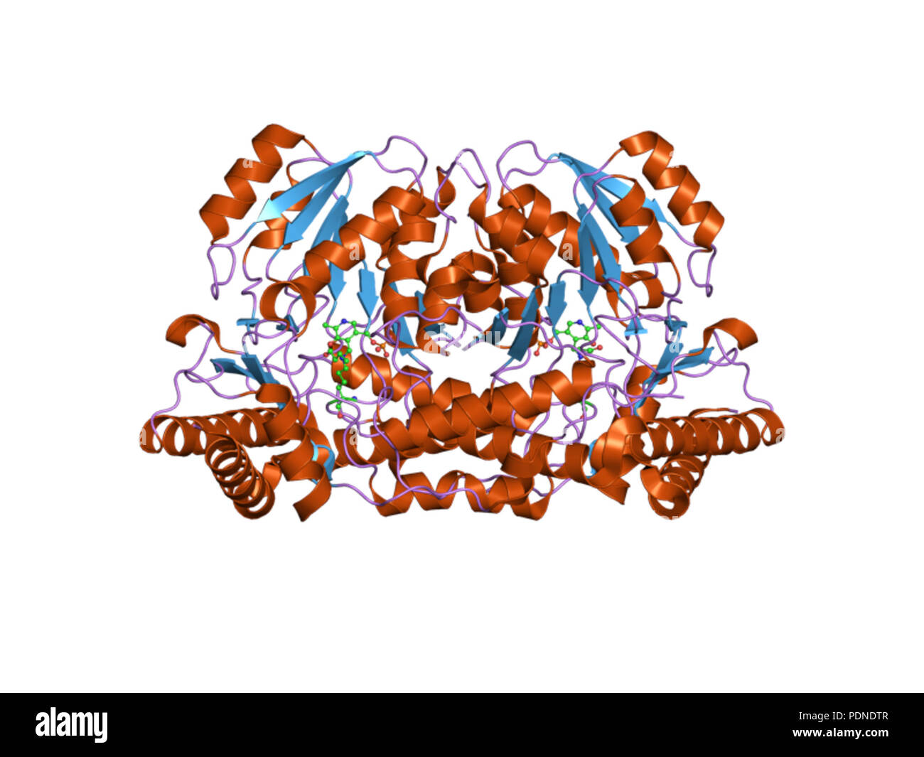 201 HVE 2 Huf EBI Stockfoto