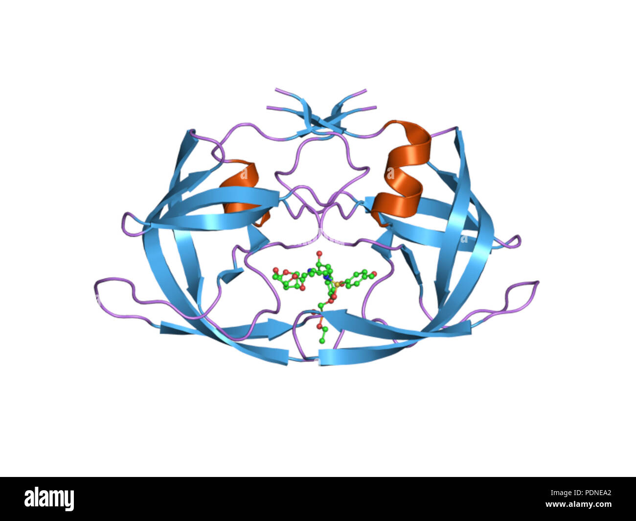 203 PDB2i4w EBI Stockfoto