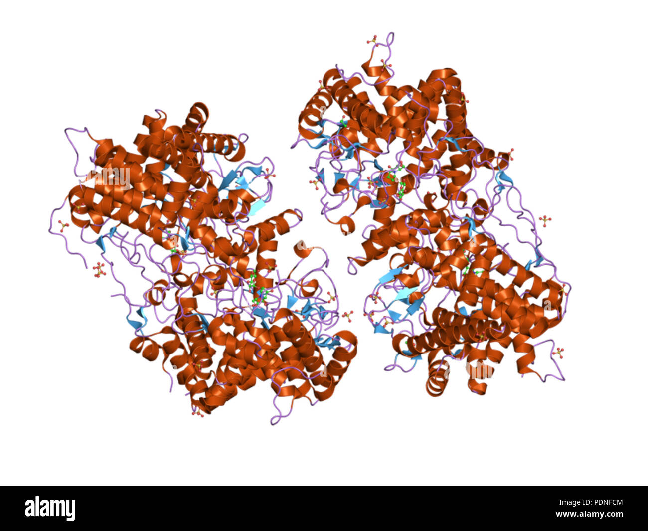 210 HVE 2 jjb EBI Stockfoto