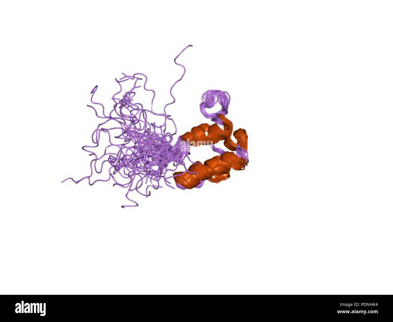 228 PDB2png EBI Stockfoto