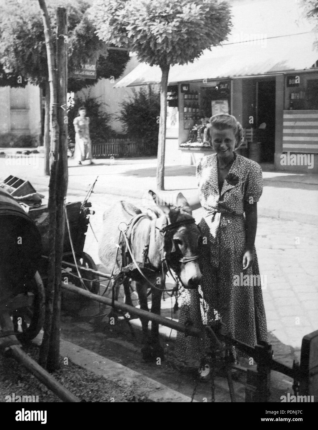 102 Trainer, Esel, Porträt, Frau, street view, Scale, Barrel, Chariot, shop Fortepan 14375 Stockfoto