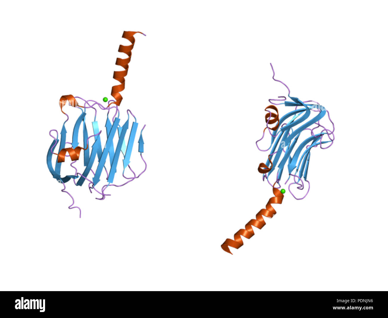 236 HVE 2 r1b EBI Stockfoto